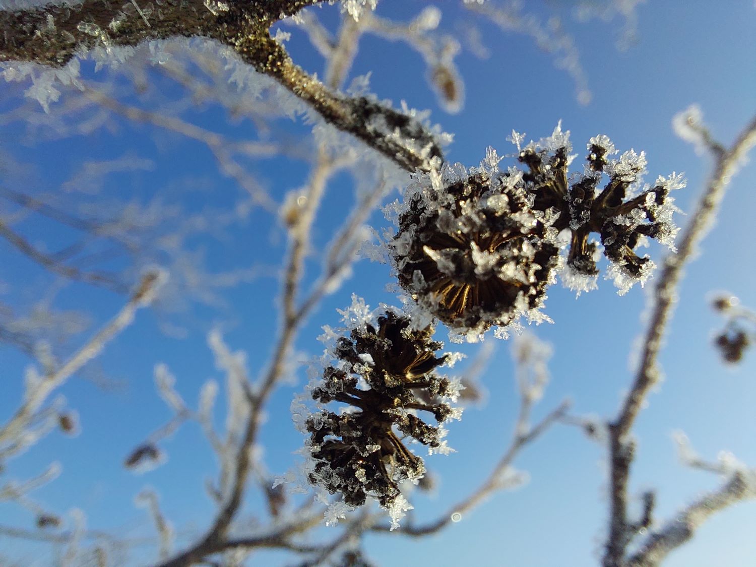 Slide 1 Slide background