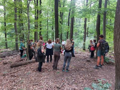 lainzer tiergarten lainzer tiergarten